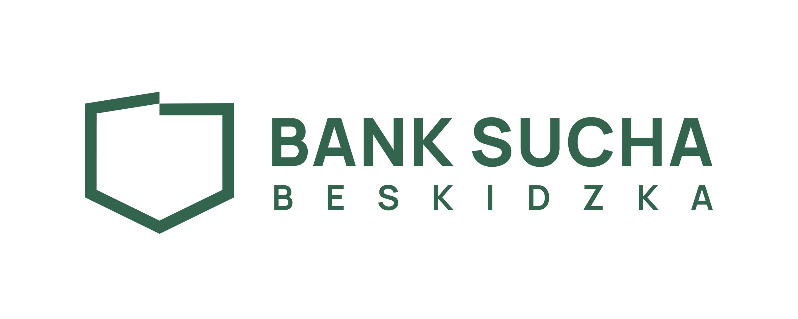 logo BS